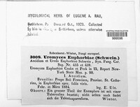 Image Associated With the Occurence
